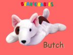 Butch