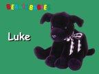 Luke