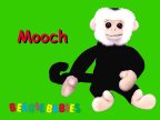 Mooch