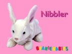 Nibbler
