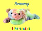 Sammy