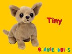Tiny